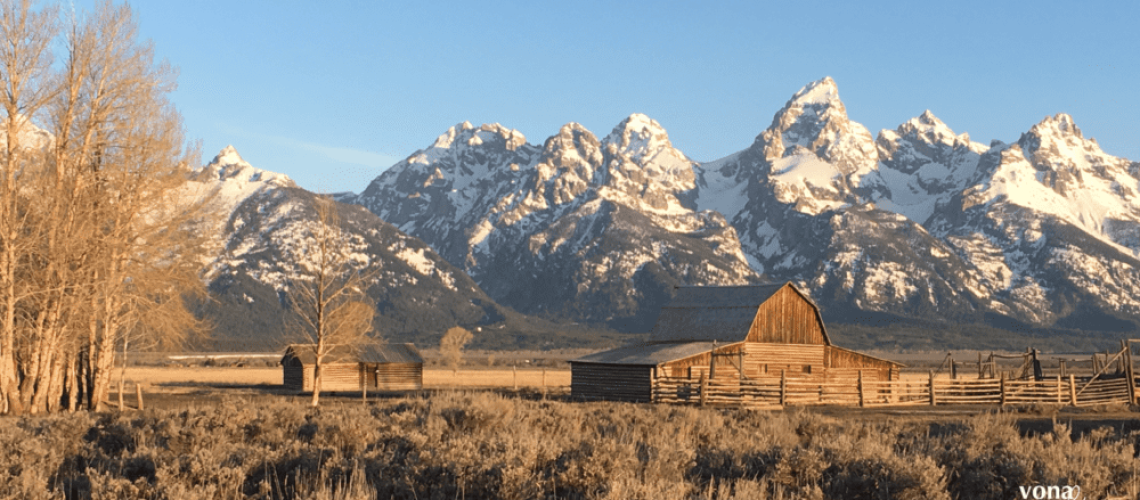 Barn at Jackson WY by Vona Johnson